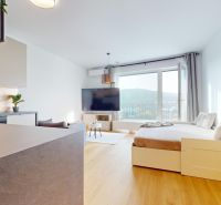 Bright 1-room apartment with large windows and wooden decor flooring.