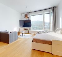 Living area in a studio apartment with wood-patterned flooring and comfortable seating.