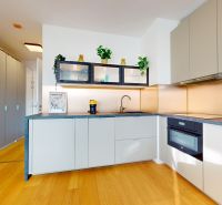 A kitchen in a studio apartment with a wooden decor floor and a light-colored kitchen unit.