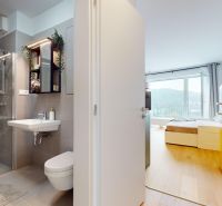 Bathroom with a glass shower enclosure and a bedroom with wood-patterned flooring in a studio apartment.