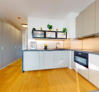 Interior of a 1-room apartment with a kitchen unit, gray cabinets, and a floor with a wood decor.