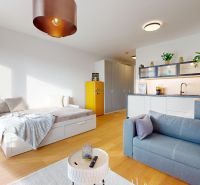 Interior of a 1-room apartment with a sofa, bed, and kitchenette, floor with wood decor.