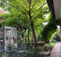 A family house in Majcichov, Majcichov Street, surrounded by a lush garden and green vegetation.