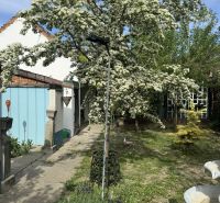 The garden of a family house in Majcichov on Majcichov Street with a blooming tree and garden equipment.