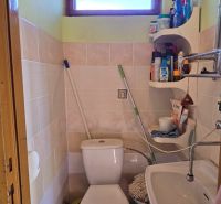 Small bathroom in a cottage with a toilet, sink, and lots of cleaning supplies.