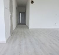 Interior of a family house with white walls and a floor with a wood decor.
