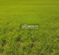 Green land in Trenčianske Mitice suitable for living, grassy area.