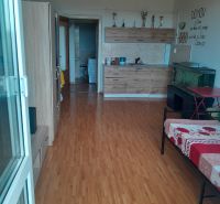 Studio apartment with wood-patterned flooring, a kitchen unit, and an aquarium in the corner.