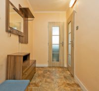 A hallway with a coat rack, mirror, and wooden decor flooring in a 2-room apartment.