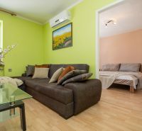 Living room in a two-room apartment with a couch, flowers, and a painting, floor with a wooden decor.