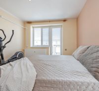 A bedroom with a bed, an elliptical trainer, and a large window in a 2-room apartment.