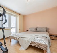 A bedroom with a bed, an exercise machine, and a wooden decor floor in a two-room apartment.