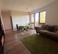 Living room of a 3-room apartment with a wooden decor floor, dining table, and sofa.