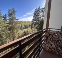 The balcony in Stará Lesná in Stará Lesná offers a view of the forest from a 3-room apartment.