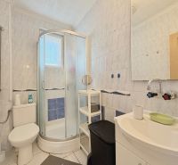 Bathroom in a family house with a toilet, shower, and sink.