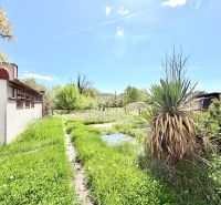 The garden of the family house on Puškinova Street in Partizánske with a lawn and shrubs.