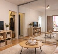 Living room with a mirrored wardrobe, television, and wooden decor flooring.