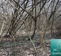 Dense forested areas on the plots - living near the Old Port Gabčíkovo.