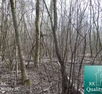 A wooded residential plot in the Old Port Gabčíkovo area offers a natural environment.