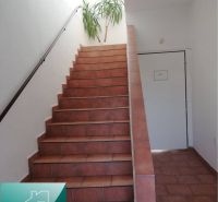 The interior of a family house with red stairs, white walls, and a plant.