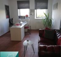 Interior of a family house with a leather sofa, table, and houseplant.