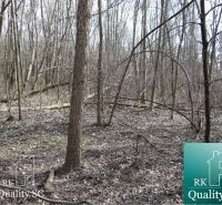A forest plot for living in the Old Port of Gabčíkovo surrounded by bare trees.
