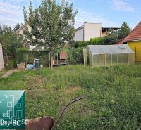 A garden of a family house in Tureni with a lawn, a tree, a greenhouse, and an adjacent building.