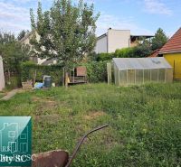 A garden with a gazebo and a greenhouse behind a family house on a street in Turen.