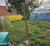 The garden of a family house in Turany with trees, a greenhouse, and a yellow fence.