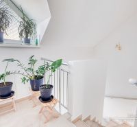 Interior of a family house with plants on the staircase, white walls, and a window.