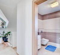 Bathroom in a family house with plants, tiles, and a washing machine, bright and elegant environment.
