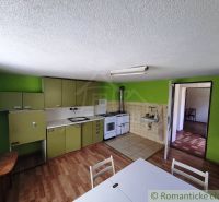 A kitchen in a family house with a wood-patterned floor and green cabinets.