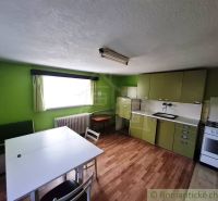 A kitchen in a family house with green cabinets and a wooden decor floor.