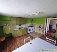 A kitchen in a family house with a wooden decor floor and green cabinets.
