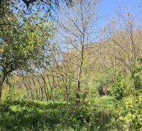 Hilly landscape with forest cover in Šiatorská Bukovinka, residential plots.