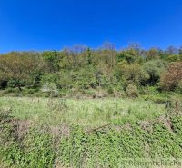 Greenery covering residential plots in Šiatorská Bukovinka, surrounded by forest and blue sky.