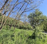 Greenery and trees in Šiatorská Bukovinka, ideal for residential land.