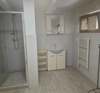 Bathroom with a shower, sink, and floor with a wood decor in a studio apartment.