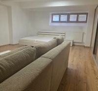 Interior of a 1-room apartment with a sofa, bed, and wooden decor flooring.