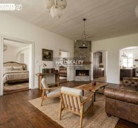 Living room in a 3-room apartment with a fireplace, wooden decor flooring, and a leather sofa.