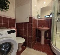 Bathroom with a shower, washing machine, and sink in a 4-room apartment.