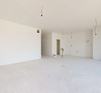 Spacious unfurnished room in a family house with white walls and a large window.