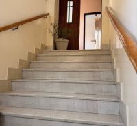 Staircase in a family house with tiled walls and a plant by the wooden door.