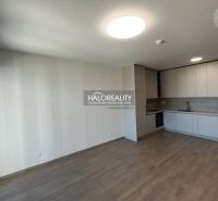 A kitchen with built-in appliances, a floor with a wooden decor in a studio apartment.
