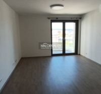A bright room in a one-bedroom apartment with a wood-patterned floor and a large window.