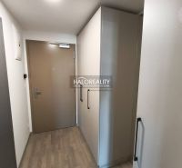 A room with a wooden floor decor and balcony doors in a studio apartment.