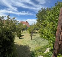 The garden with trees near the cottage on Agátová Street in Šahy, under the blue sky.