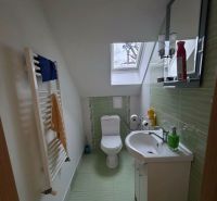 A bathroom in a family house with a skylight and green tiles.
