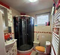 Bathroom with a corner shower, toilet, and floral decor in a family house.