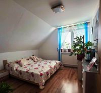 Bedroom in a family house with a bed, wooden decor flooring, and houseplants.